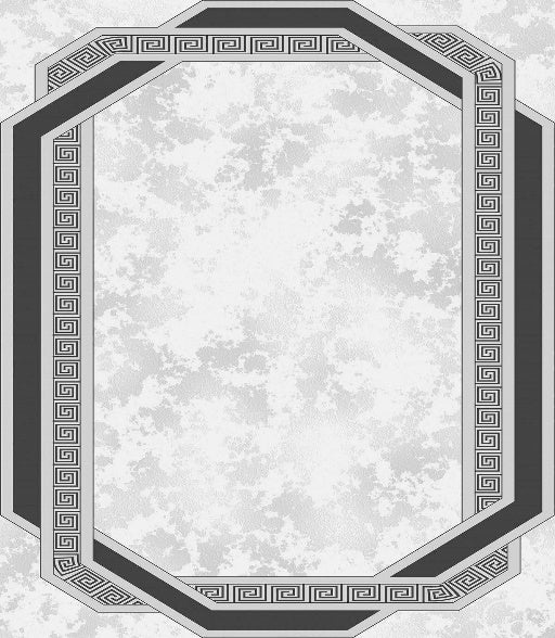 FASHAN 0529 GRIS/NOIR